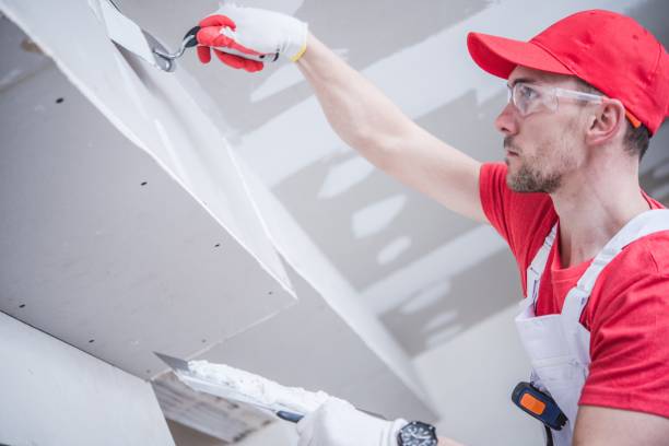 Best Commercial Painting  in Clearlake Oaks, CA